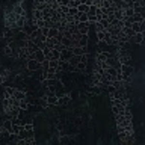 Meet your Posher, Isaac